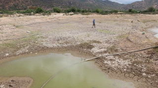 Ninh Thuận nỗ lực phòng, chống khô hạn