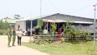 Sức sống mới ở vùng “rốn da cam” Đông Sơn