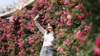 Chiêm ngưỡng vẻ đẹp mê mẩn của rừng hoa Đỗ quyên Fansipan