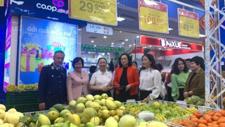 Doanh nghiệp Việt đẩy mạnh khai thác thị trường Malaysia