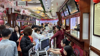 Đầu tuần tới đấu thầu vàng, giá vàng có giảm?