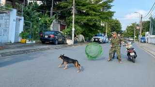 Khi thú cưng hóa... thú dữ!