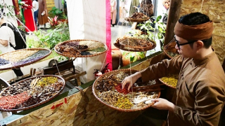 Bảo tồn phố nghề Đông Nam dược Lãn Ông trong khu phố cổ Hà Nội