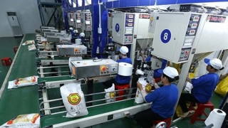 Việt Nam trở thành đối tác xuất khẩu gạo lớn nhất tại Singapore