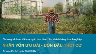 BAC A BANK ưu đãi lãi suất cho doanh nghiệp vay ngắn hạn
