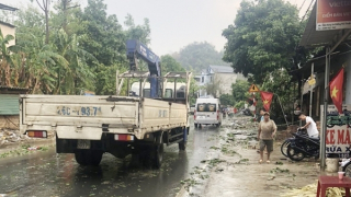 EVNNPC sẽ khắc phục xong sự cố do mưa lớn và lốc xoáy trong ngày 23/4