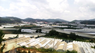 Chây ỳ nộp tiền thuê đất ở Khu nông nghiệp công nghệ cao Ấp Lát