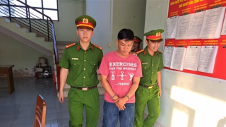 Bắt tạm giam người điều khiển tàu chở khách du lịch gây tai nạn trên sông Tiền