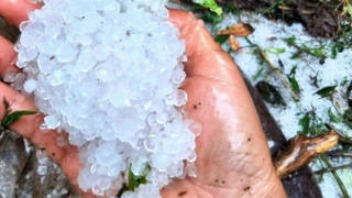 Chủ động phòng tránh, giảm thiểu thiệt hại do mưa giông, lốc và mưa đá