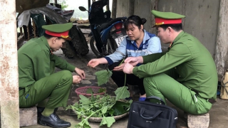 Những chiến sĩ Công an vì bình yên thôn xóm