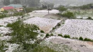 Mưa đá trắng trời ở Sơn La gây thiệt hại hàng nghìn ha hoa màu