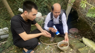 Dịch sốt xuất huyết đã giảm 1,6 lần so cùng kỳ năm 2023