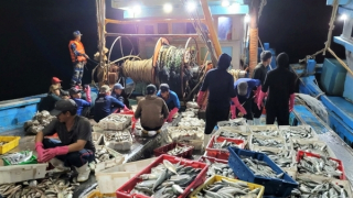 Xử lý nghiêm tàu giã cào để bảo vệ môi trường biển