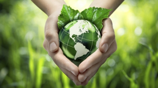 Tiêu chuẩn xanh - “chìa khóa” tiếp cận dễ dàng với thị trường quốc tế