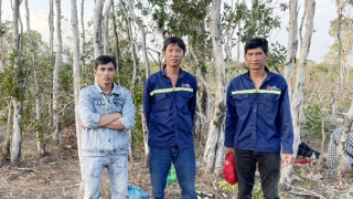 Bắt quả tang 3 đối tượng phá hơn 2.000m2 rừng ở Phú Quốc