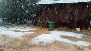 Xuất hiện mưa đá lịch sử ở vùng biên giới Quảng Nam