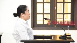 Phạt 19 năm tù chủ hụi lừa 143 người sập bẫy