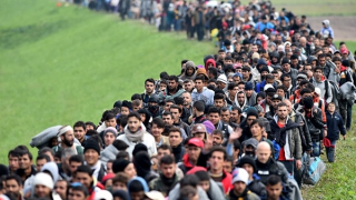 Di cư: Thách thức chung cần giải pháp chung