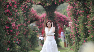 Hạ Long, Sa Pa lọt Top điểm đến chữa lành cho du lịch mùa nóng