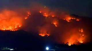An Giang: Khẩn trương chữa cháy rừng tại Núi Tô