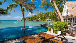 Koh Tao - “lời nguyền đảo chết”