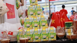 Tăng sự hiện diện của hàng hóa Việt Nam tại Singapore