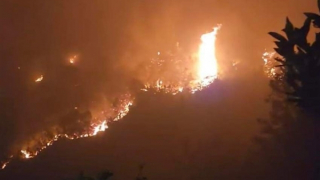 Tăng cường triển khai các biện pháp cấp bách phòng cháy, chữa cháy rừng