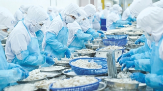 Nâng cao sức cạnh tranh cho hàng hóa xuất khẩu của Việt Nam