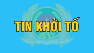 Bắt tạm giam đối tượng Dương Minh Cường vì xâm phạm lợi ích của Nhà nước