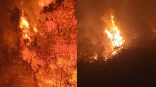 Hai cán bộ kiểm lâm tử nạn khi tham gia chữa cháy rừng ở Hà Giang