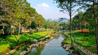 Phoenix Mộc Châu Resort: Tuyệt tác ẩn mình giữa núi rừng Tây Bắc