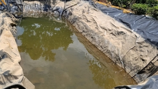 Hai mợ cháu tử vong dưới hố chứa nước tưới cà phê