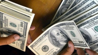 Đằng sau đà tăng của đồng bạc xanh