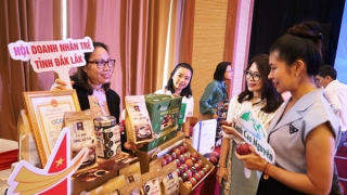 Doanh nghiệp Việt phải làm gì trước quy định chống phá rừng của EU?