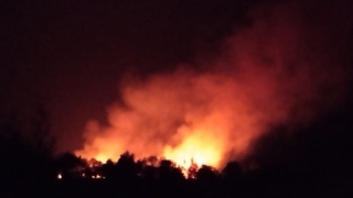 Liên tục xảy ra cháy rừng, Quảng Bình chỉ đạo khẩn