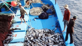 Những chính sách nổi bật có hiệu lực trong tháng 5/2024