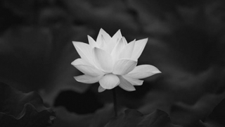 Đại tá, PGS.TS Đặng Thị Cẩm Thúy từ trần