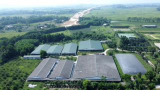 Bất thường trong việc tăng đàn, điều chỉnh quy hoạch