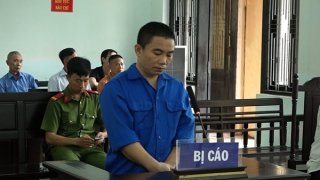 Giáo viên tiểu học lừa đảo xin việc chiếm đoạt 2,3 tỷ đồng