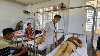 Gần 550 người bị ngộ độc do ăn bánh mì có vi khuẩn Salmonella