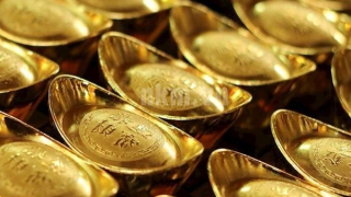 Ba doanh nghiệp trúng thầu 3.400 lượng, giá vàng SJC vẫn lập đỉnh