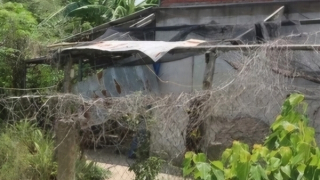 Thiếu nữ bị kẻ lạ đột nhập, cưỡng bức trong đêm