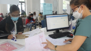 Hệ thống thông tin quản lý đất đai của Đà Nẵng cơ bản khôi phục sau sự cố