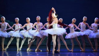 Đưa ballet Hồ Thiên Nga trở lại Việt Nam