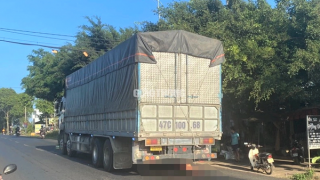 Đứng trước nhà chờ xe tải đến rồi lao người vào gầm