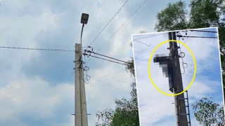 Tử vong khi tự ý leo lên cột điện nối lại đường dây bị cây đè đứt