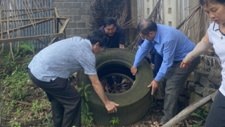 Lâm Đồng: Bệnh sốt xuất huyết diễn biến phức tạp