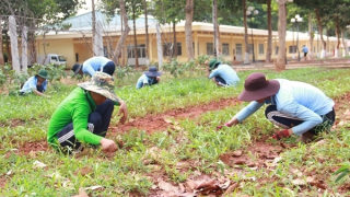 Bắt tạm giam Phó Trưởng phòng Y tế cơ sở cai nghiện liên quan vụ 3 học viên tử vong