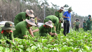 Tuổi trẻ Công an Trà Vinh phối hợp trồng 2.500 cây xanh khu vực rừng phòng hộ