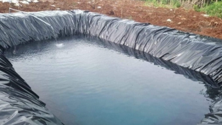 Cháu bé 3 tuổi tử vong dưới hố chứa nước nông nghiệp